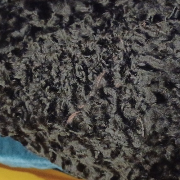 Genuine Persian Lamb Cropped 3/4 Sleeve Jacket- Sz. Med - Picture 12 of 14